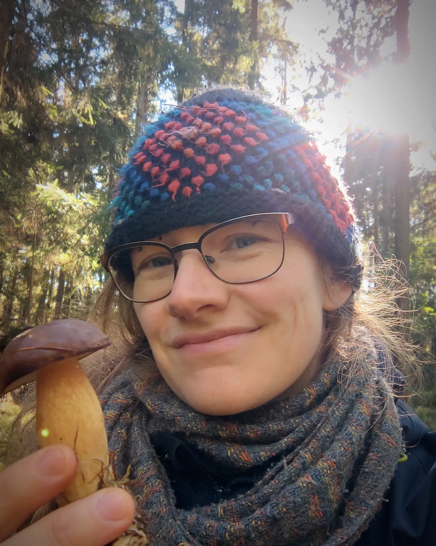 Pilzsachverständige im Wald der Nordheide